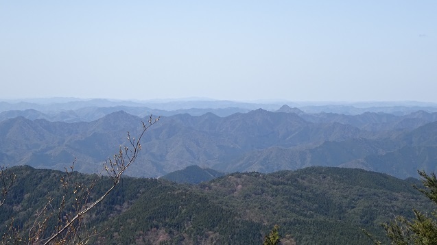 DSC01186.jpg