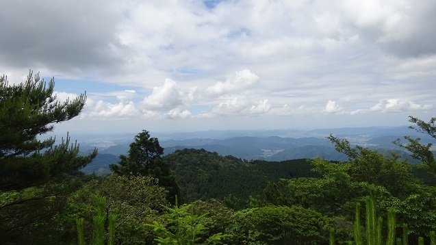 DSC01645.jpg