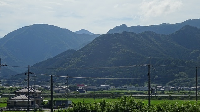 DSC01646.jpg