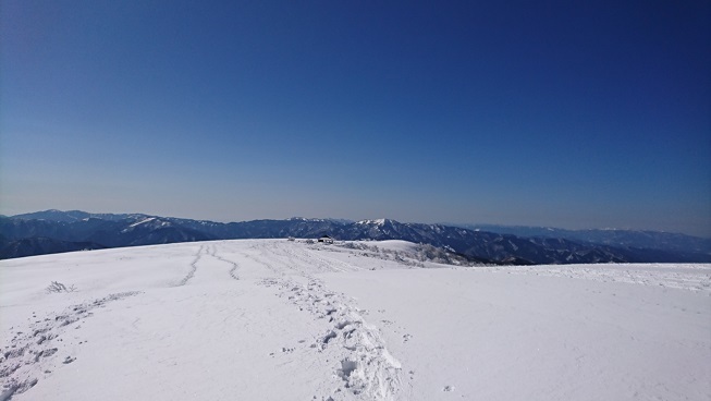 DSC_0045.jpg