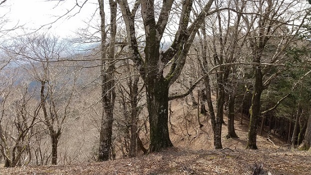 DSC_0081.jpg