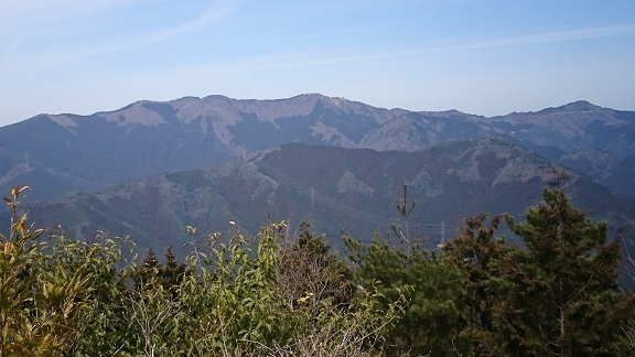 DSC_1291.jpg
