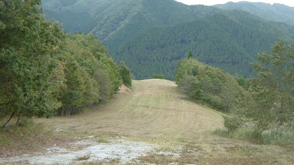 a28.jpg