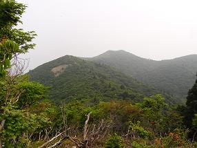 buna11.jpg