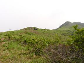 buna15.jpg