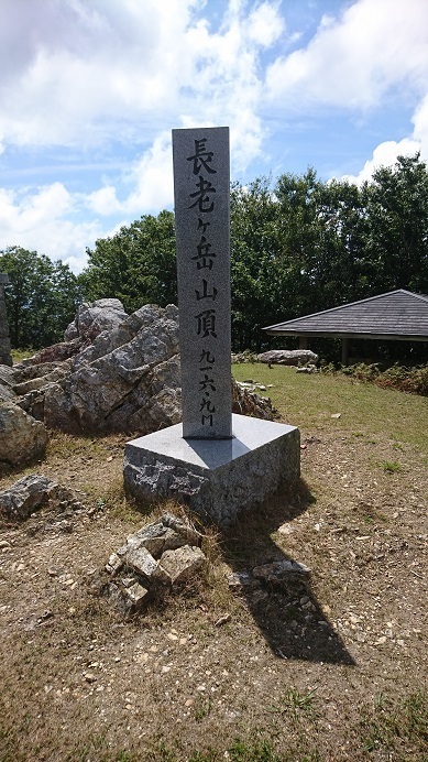 c11.jpg