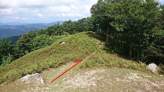c12.jpg