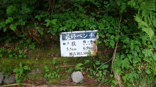 c14.jpg