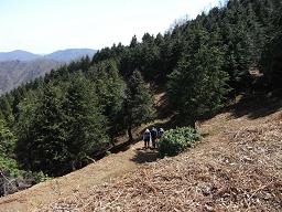 cyou12.jpg
