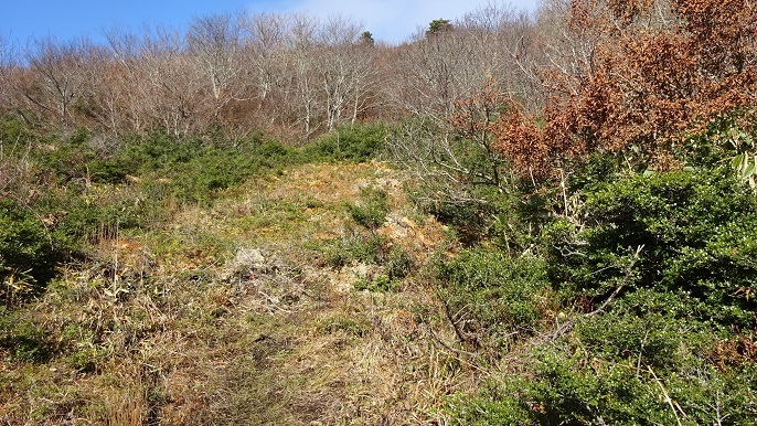 d27.jpg