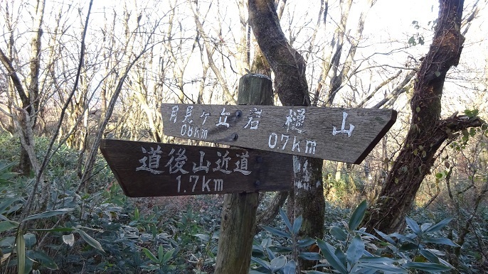 d8.jpg
