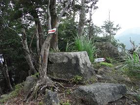 fuji14.jpg