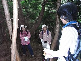 fuji21.jpg