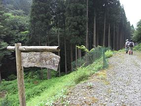 fuji36.jpg