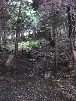 fuji5.jpg