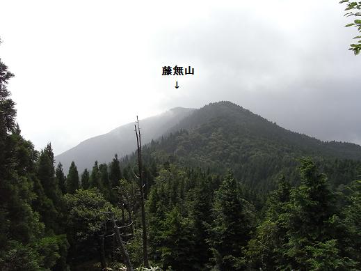 fuji8.jpg