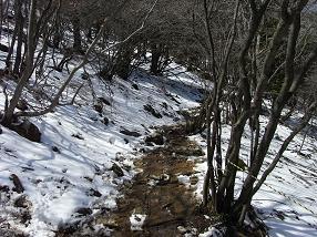 fujiwara11.jpg
