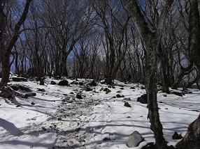fujiwara16.jpg