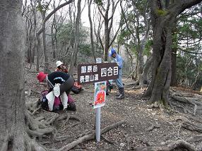 fujiwara36.jpg