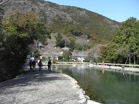 fujiwara4.jpg