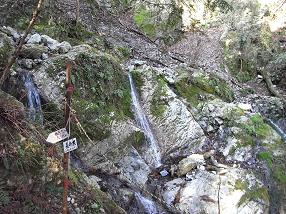 fujiwara5.jpg