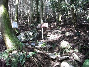 fujiwara6.jpg