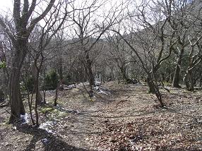 fujiwara7.jpg