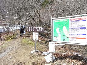 fujiwara8.jpg
