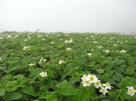 fura15.jpg