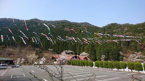 g1.jpg