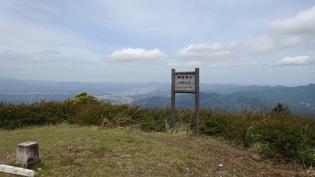 h11.jpg