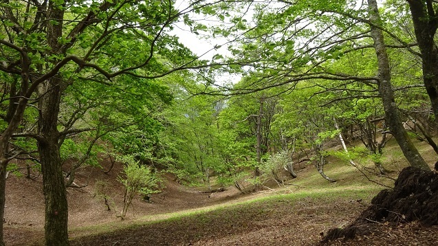 h15.jpg