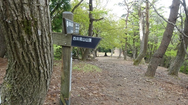 h16.jpg