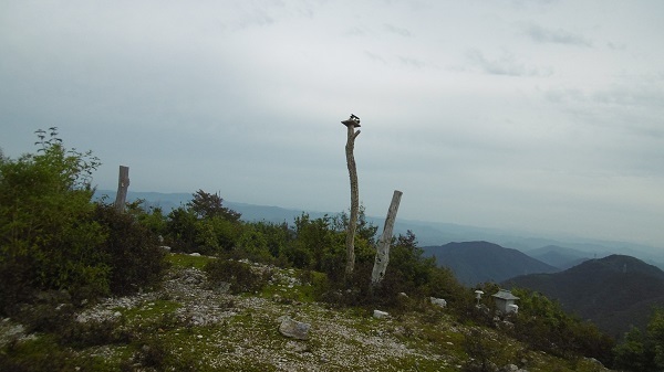h19.jpg