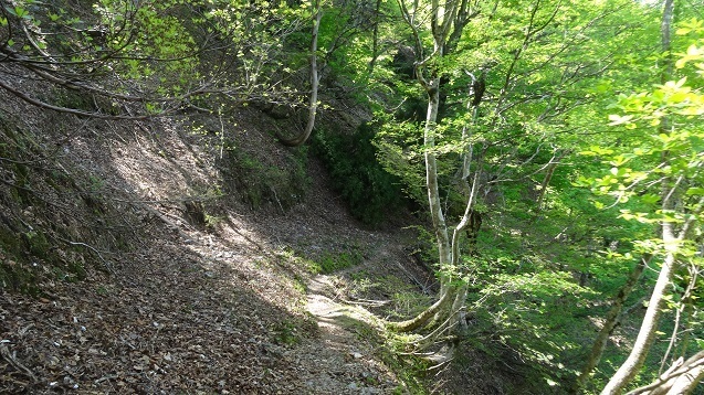 h29.jpg