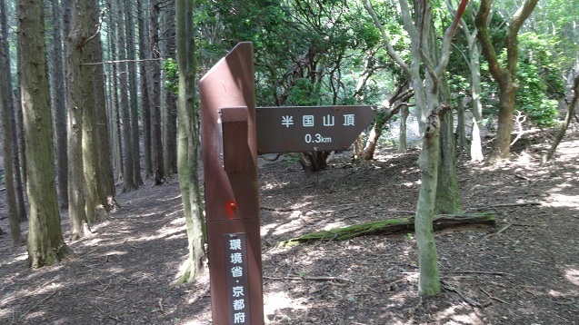 h5.jpg