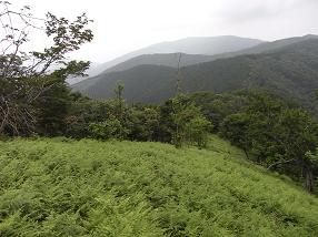 hira22.jpg