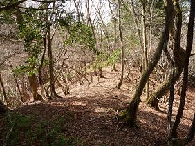 houdji22.jpg