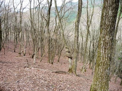 houdji39.jpg