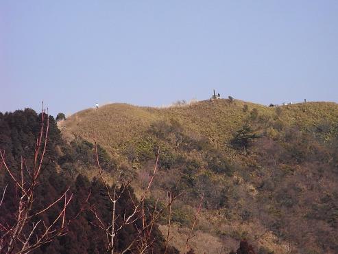 isari23.jpg