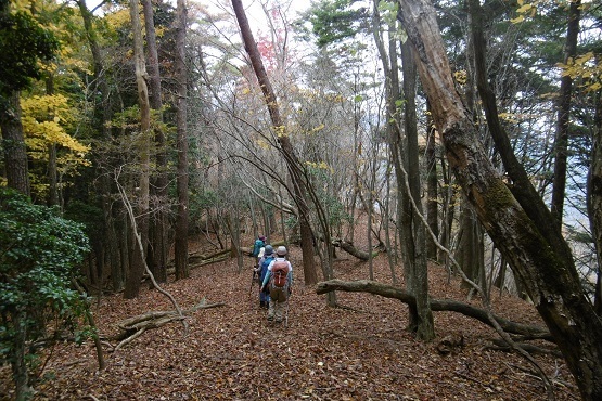 izu12.jpg