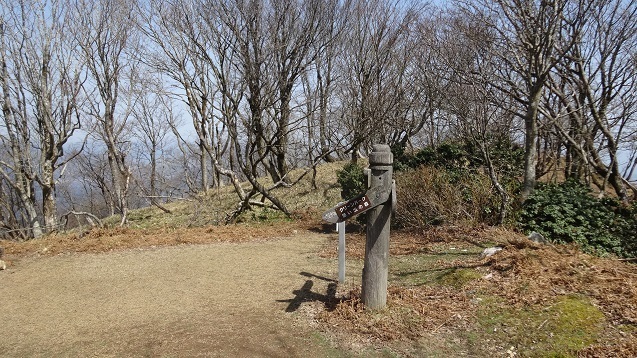j17.jpg