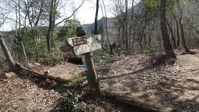 j8.jpg
