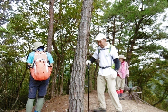 jin29.jpg