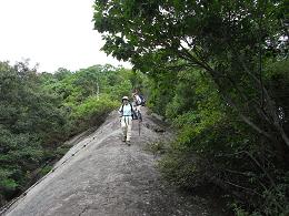 jinya18.jpg