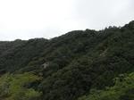 jinya6.jpg