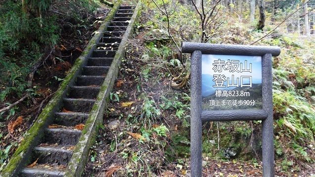 k1.jpg