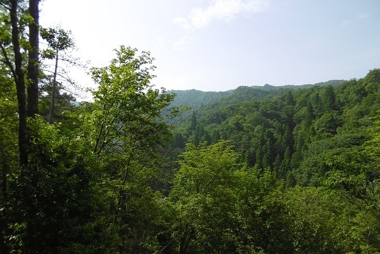 k10.jpg