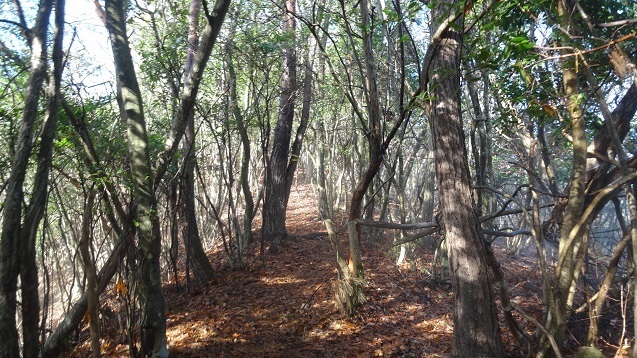 k15.jpg