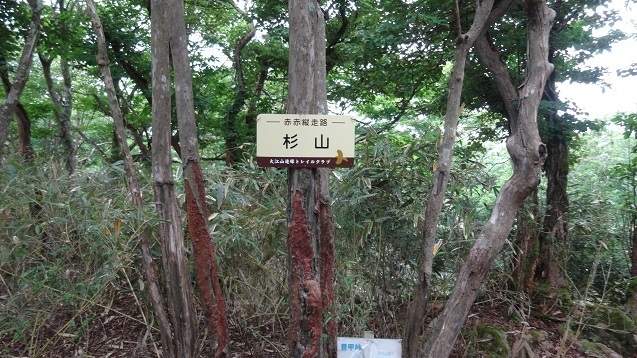 k16.jpg